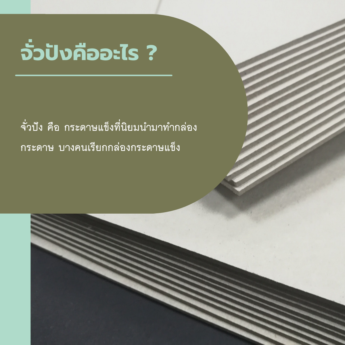 จั่วปังคืออะไร ?